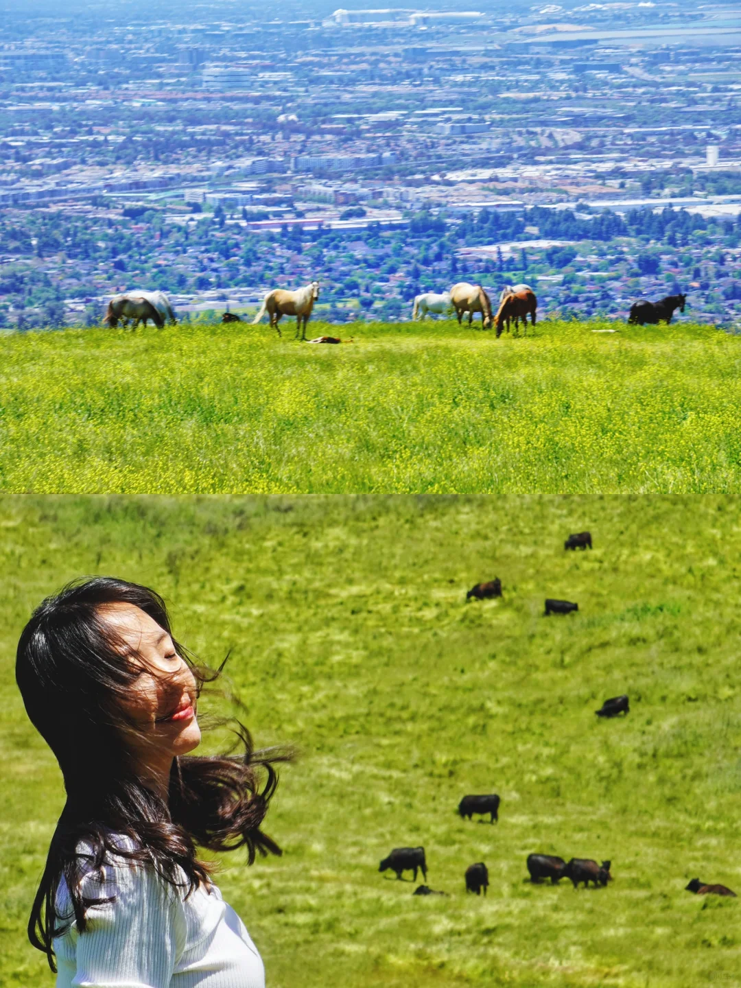 Bay Area's Little Switzerland | Stepping into "Howl's Moving Castle"!