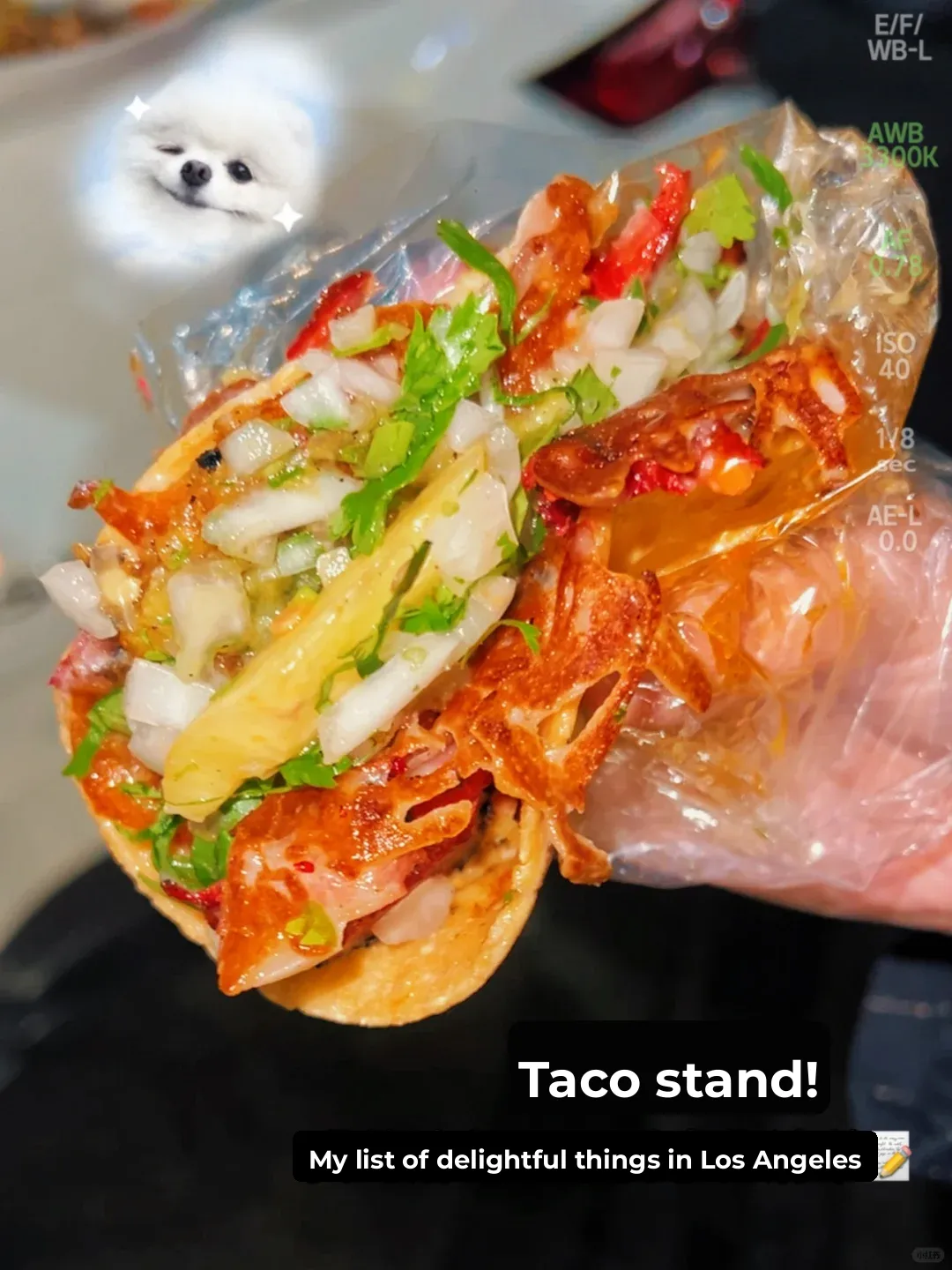 Late-night tacos in LA 🌮? Nothing beats the street food stalls!