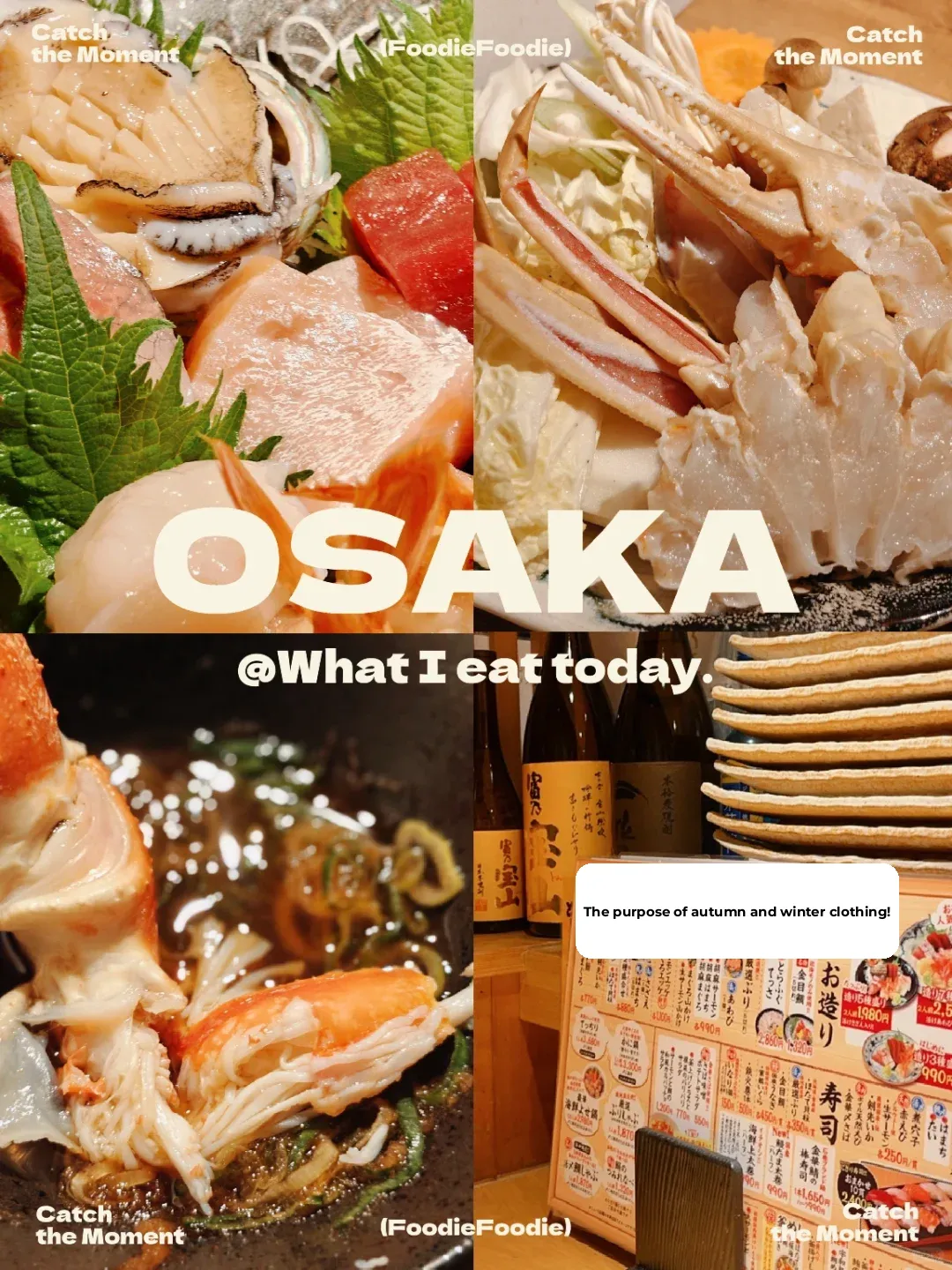 Absolutely Mouthwatering 🇯🇵 Enjoy Matsuba Crab Sashimi for Just Over $150 Per Person