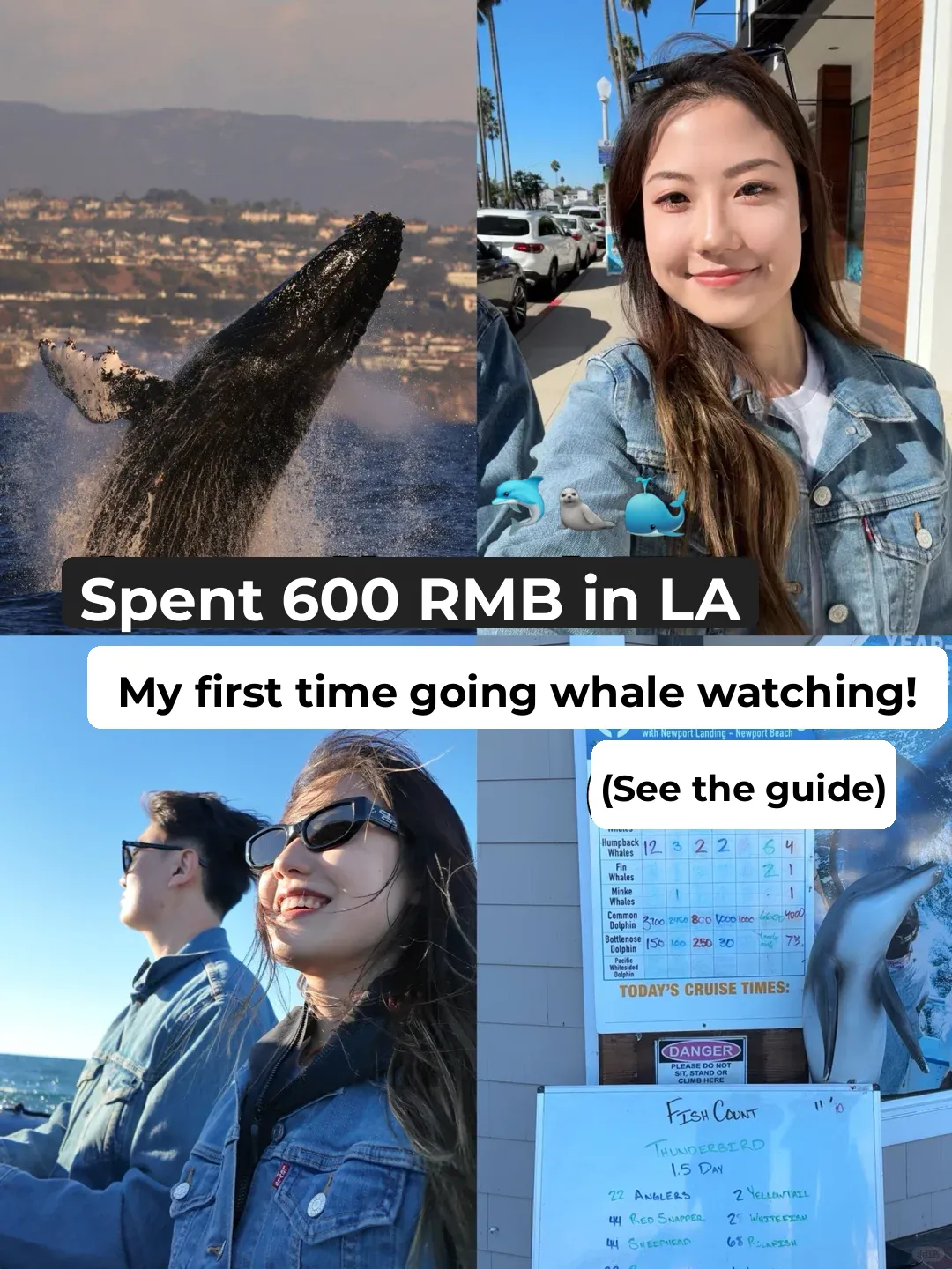 "LA🇺🇸 My First Whale-Watching Adventure Cost Only 600 RMB!"