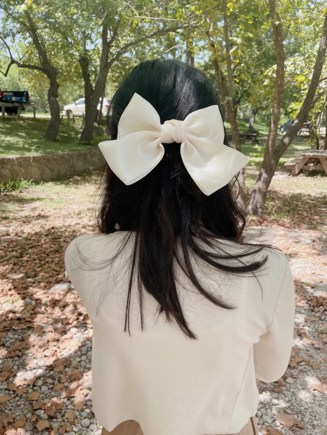 Outing in San Antonio / Lakeside Picnic