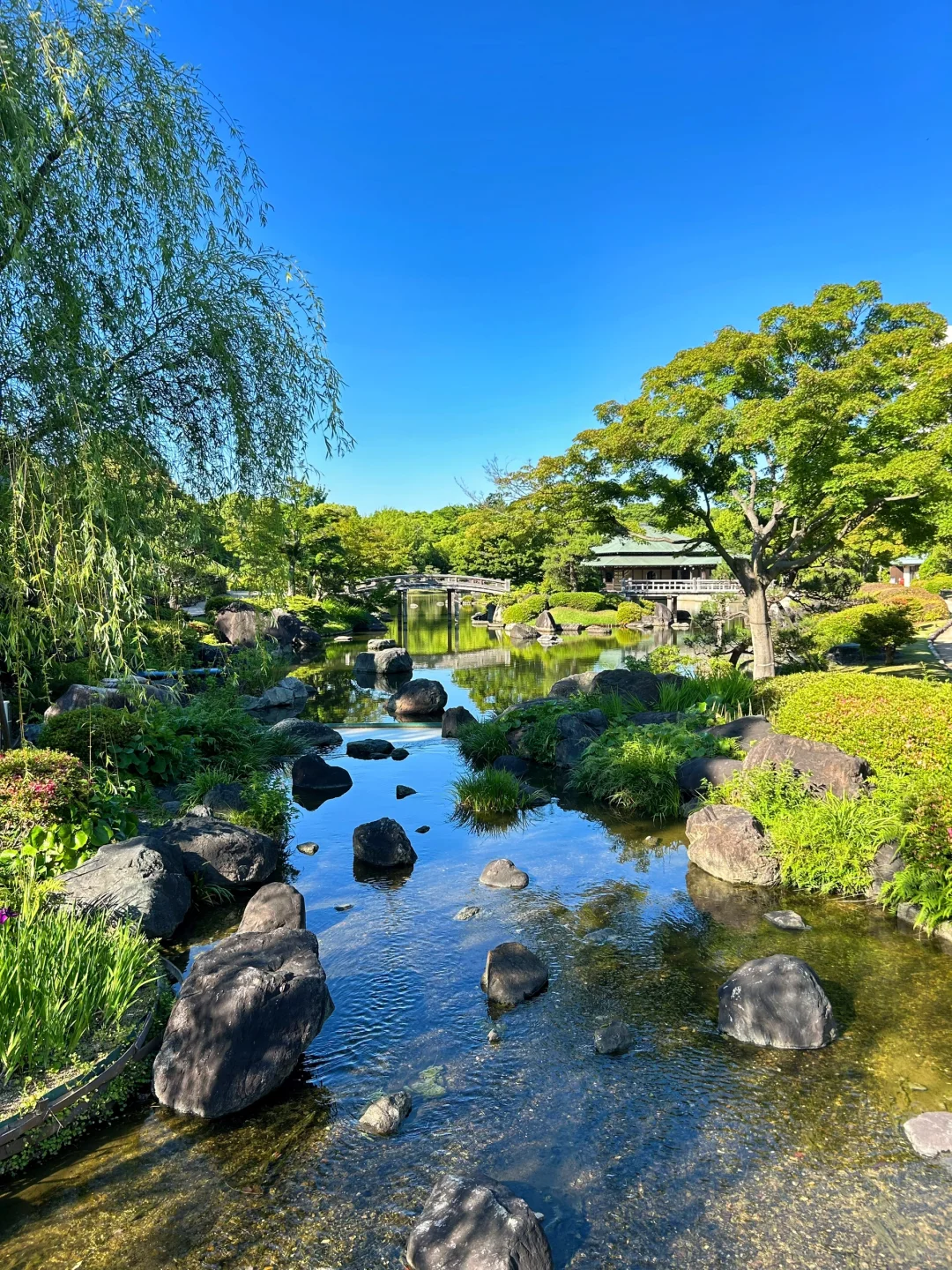🇯🇵 Sakai, Kansai | Japan's Hidden Gem: A Tranquil Garden Virtually Untouched by Tourists