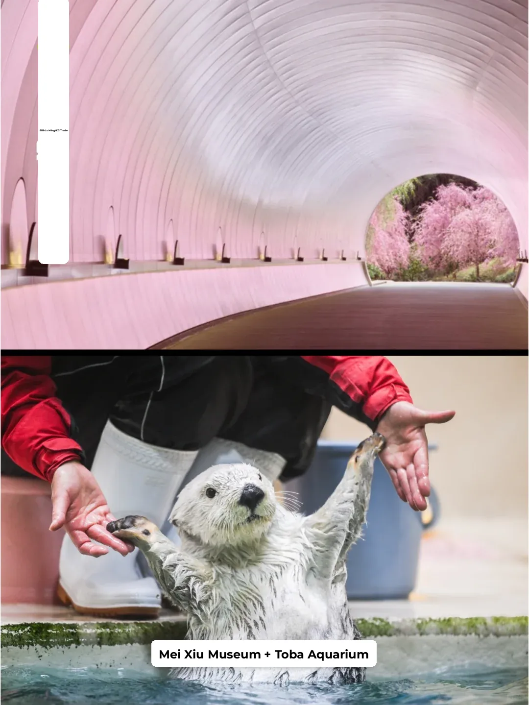 ❀ Hidden Gems of Kansai ✦ Kyoto + Ise + Toba + Wakayama 8-Day Itinerary