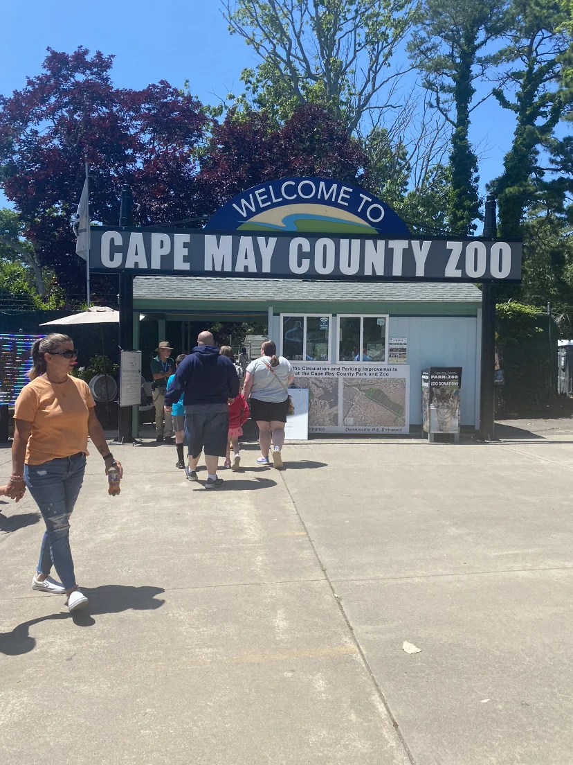 Philadelphia Area | Free Zoo + Beach