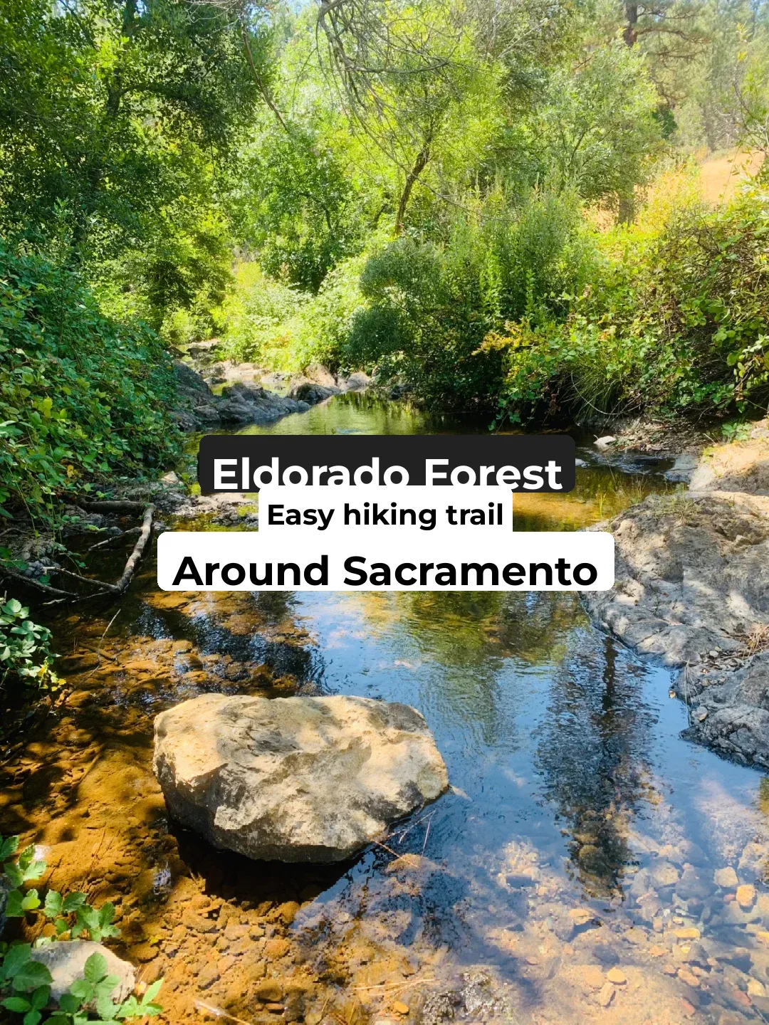 Hiking Trails in Eldorado Forest