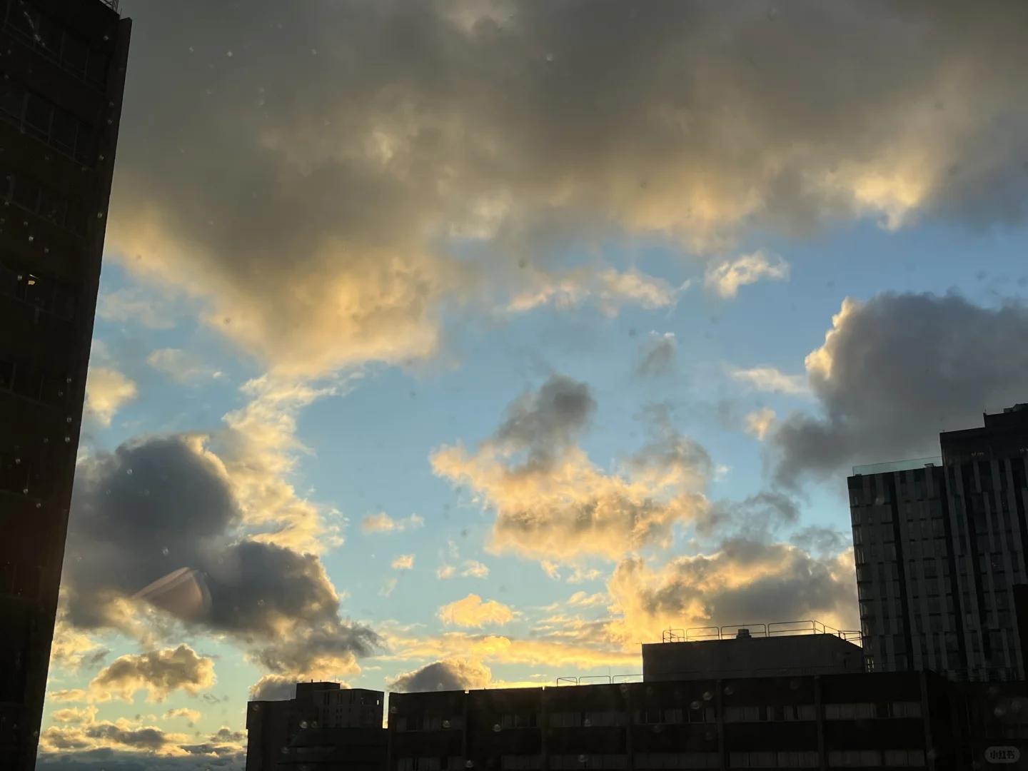 Sublease for Popular Apartment Near UPenn in Philadelphia's University City