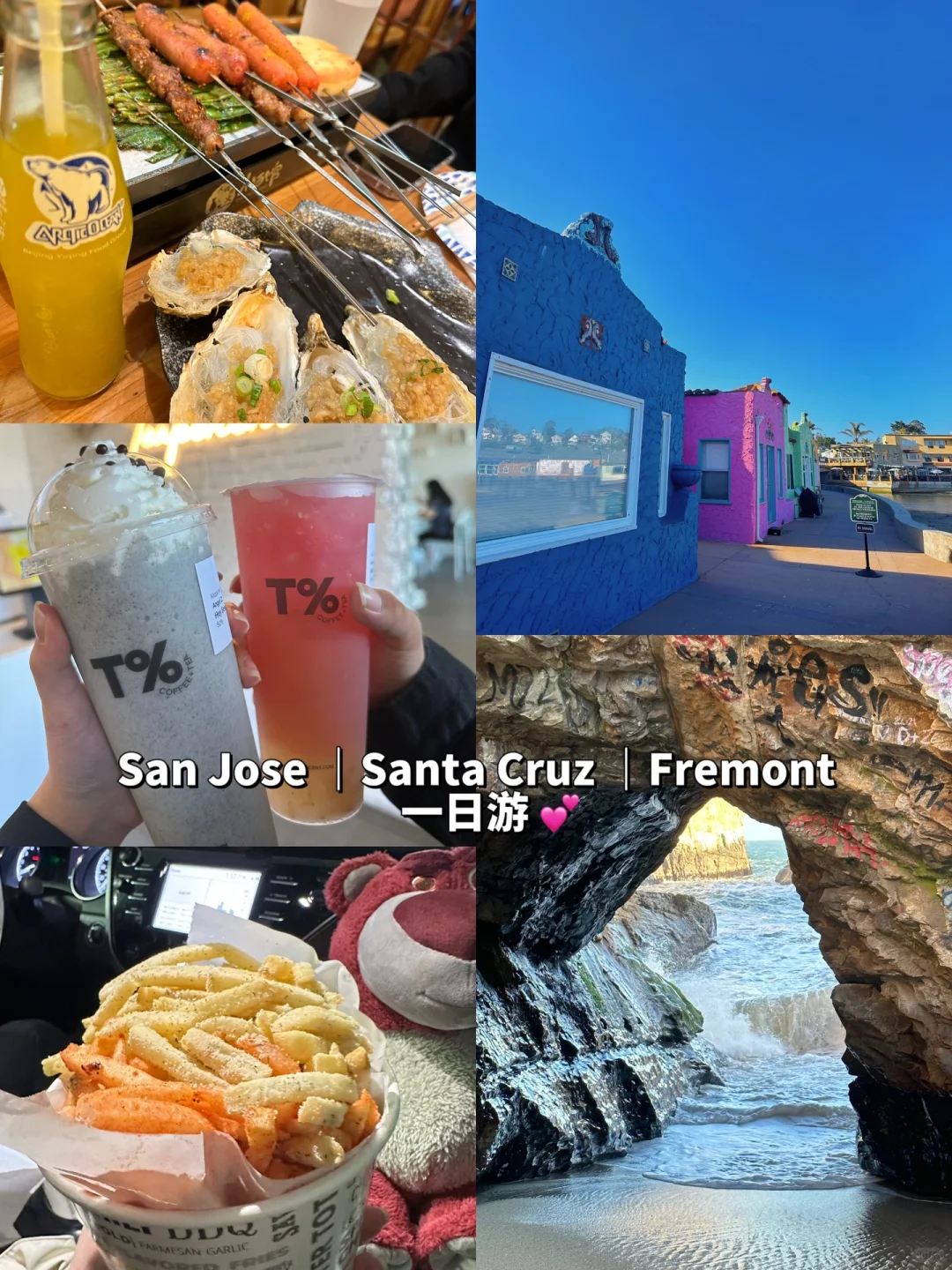 "Day Trip to San Jose, Santa Cruz, and Fremont"