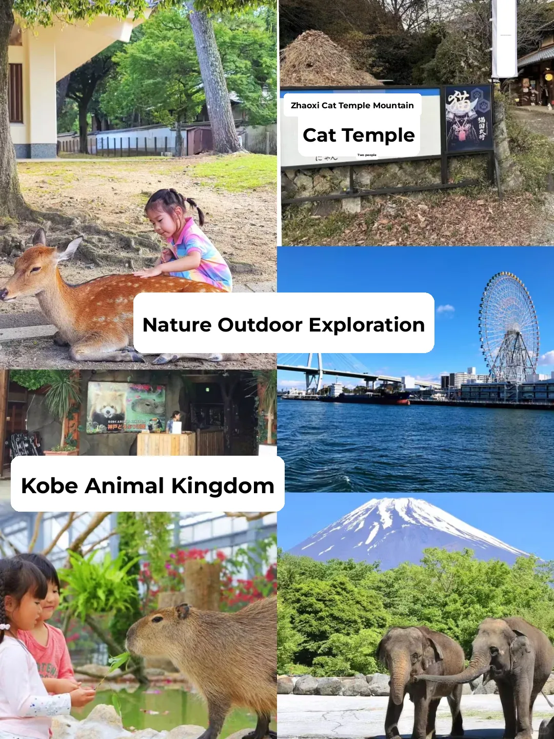 20 Must-Visit Spots in Japan for a Family Summer Vacation
