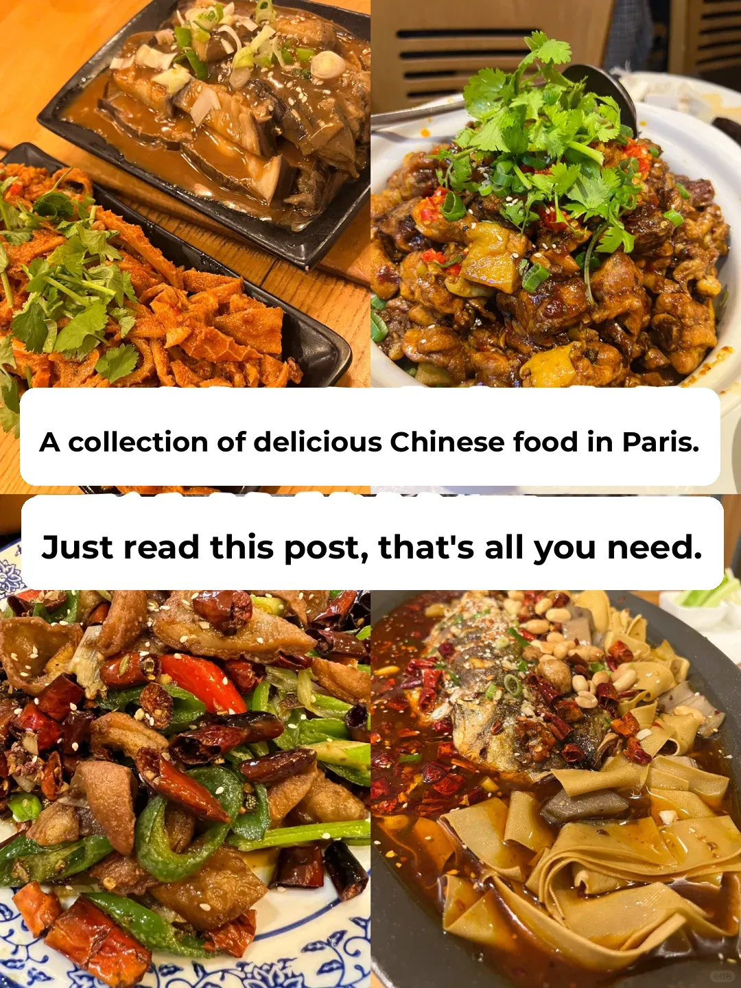 Parisian Chinese Eateries Roundup: Every Spot is a Winner (Part 2)