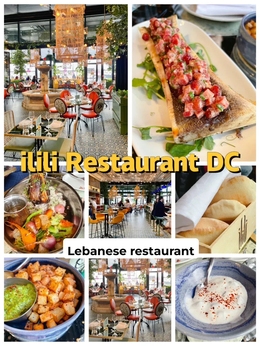 Washington, D.C. | Comparative Review of Modern Lebanese Cuisine Restaurants