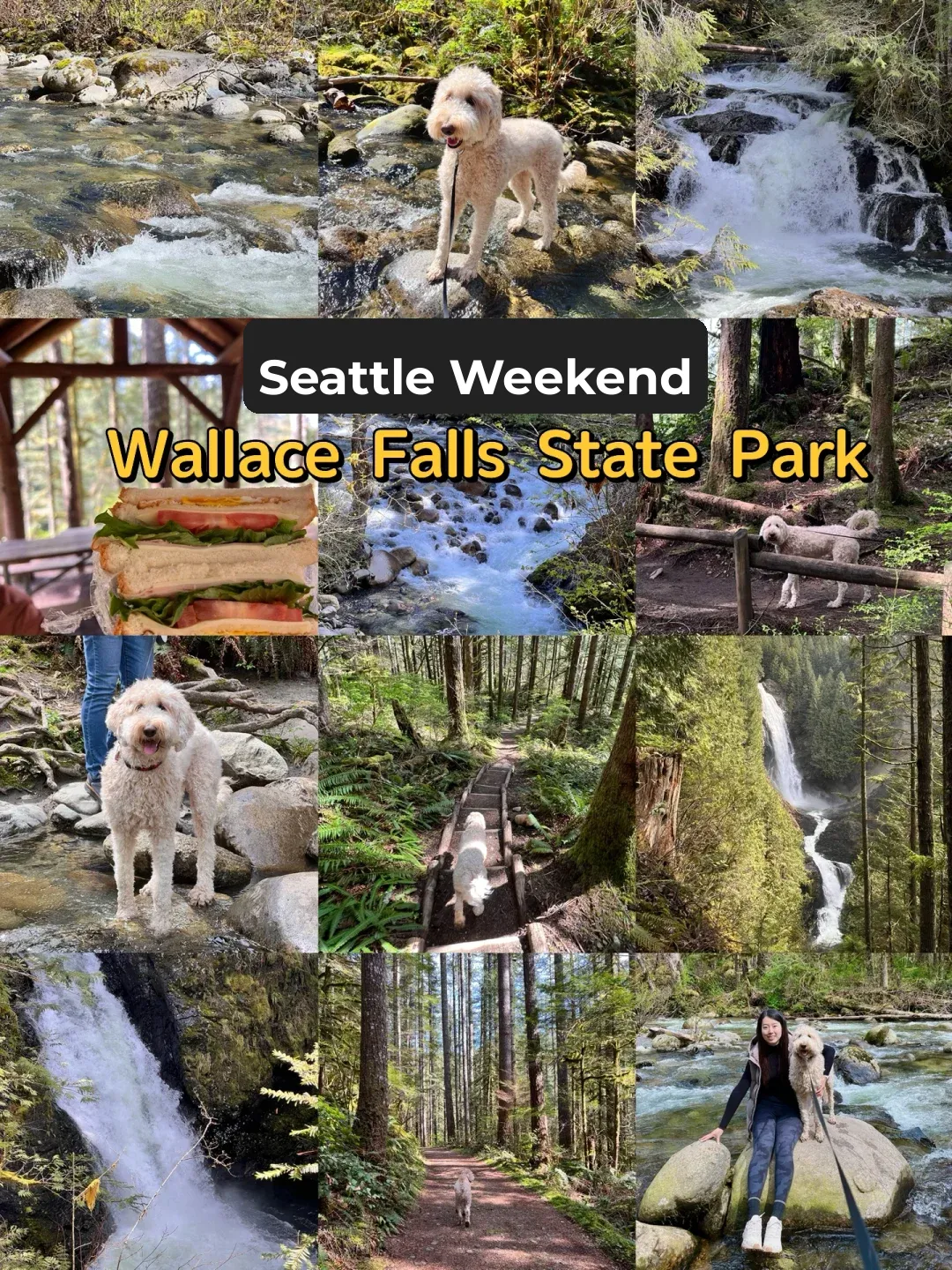 Wallace Falls Adventure｜Bringing Fido on a Hike & Splash｜Seattle Weekend