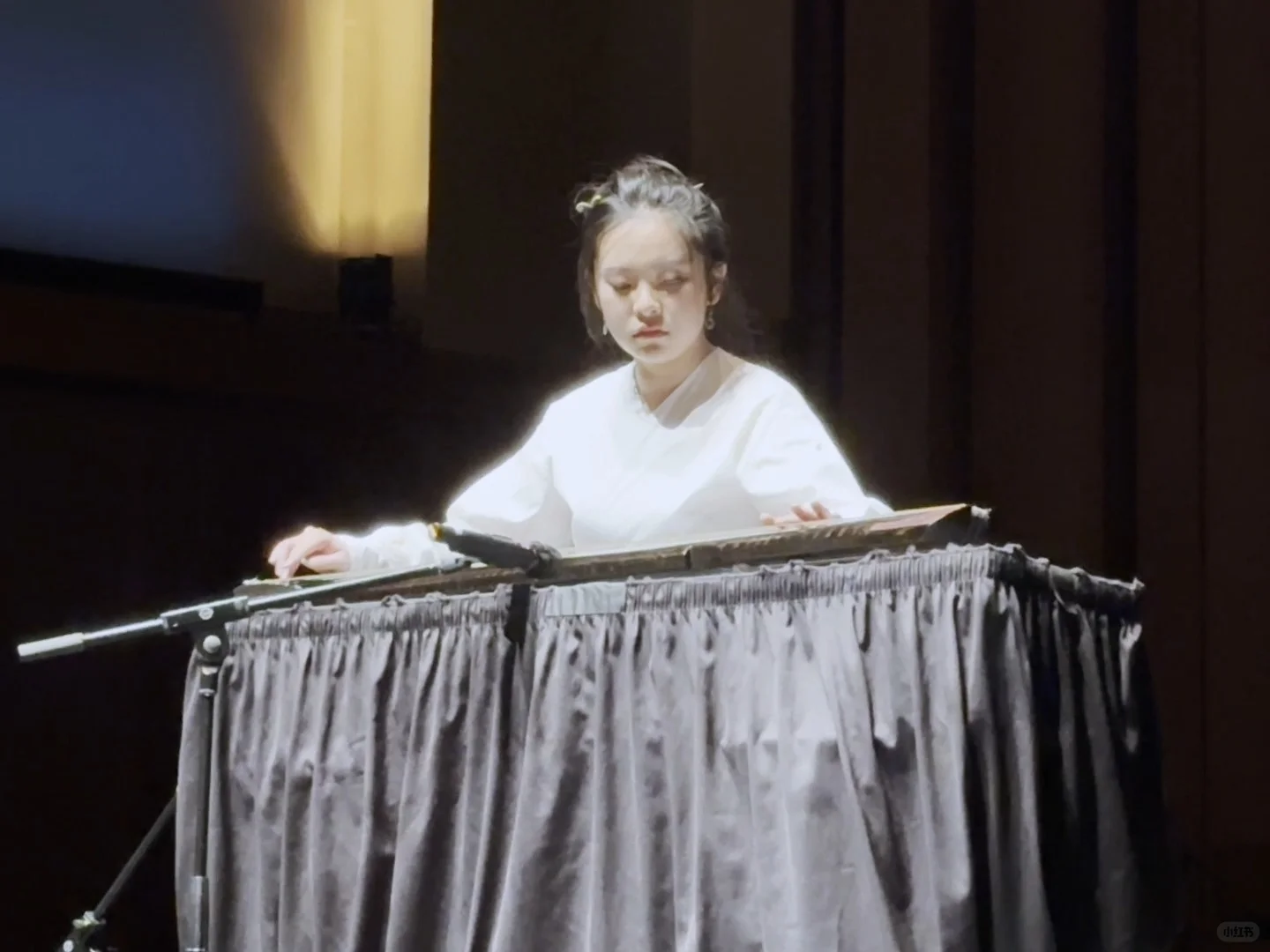 Bringing the Guqin to America! Plum Blossom Rhapsody on Seattle's Grand Stage for Thousands