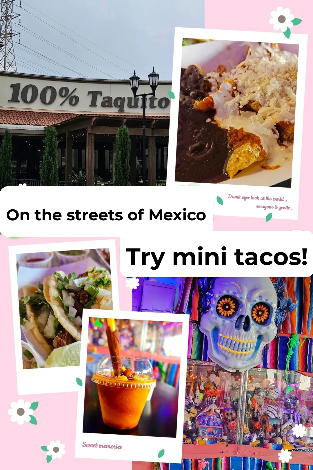 Houston Food Adventure｜100% Taquito Authentic Mexican Cuisine