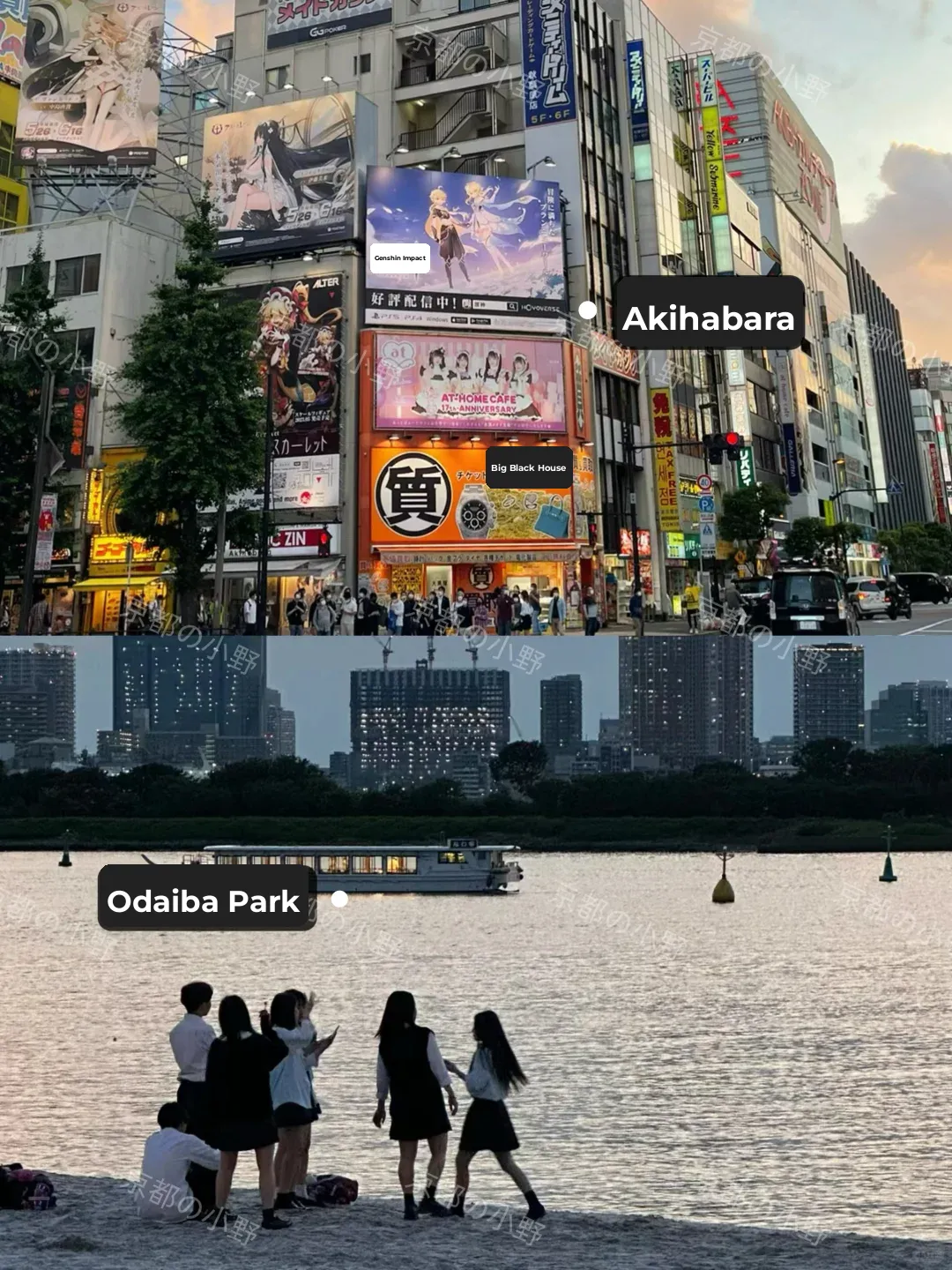 🌟 Guide | 6 Trips to Tokyo ✈️ Must-Share Tips...