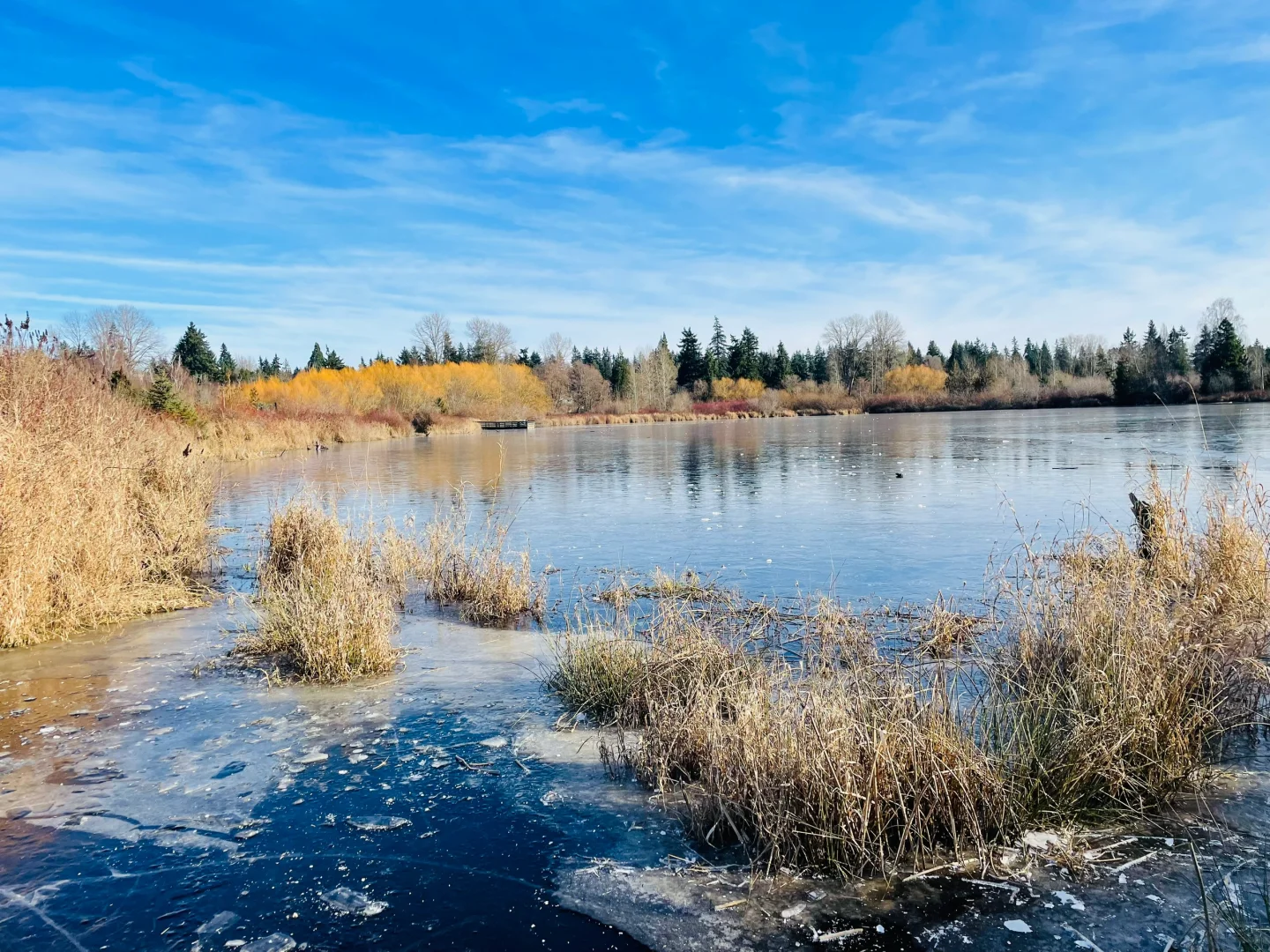 Seattle's 2024 Winter Chill