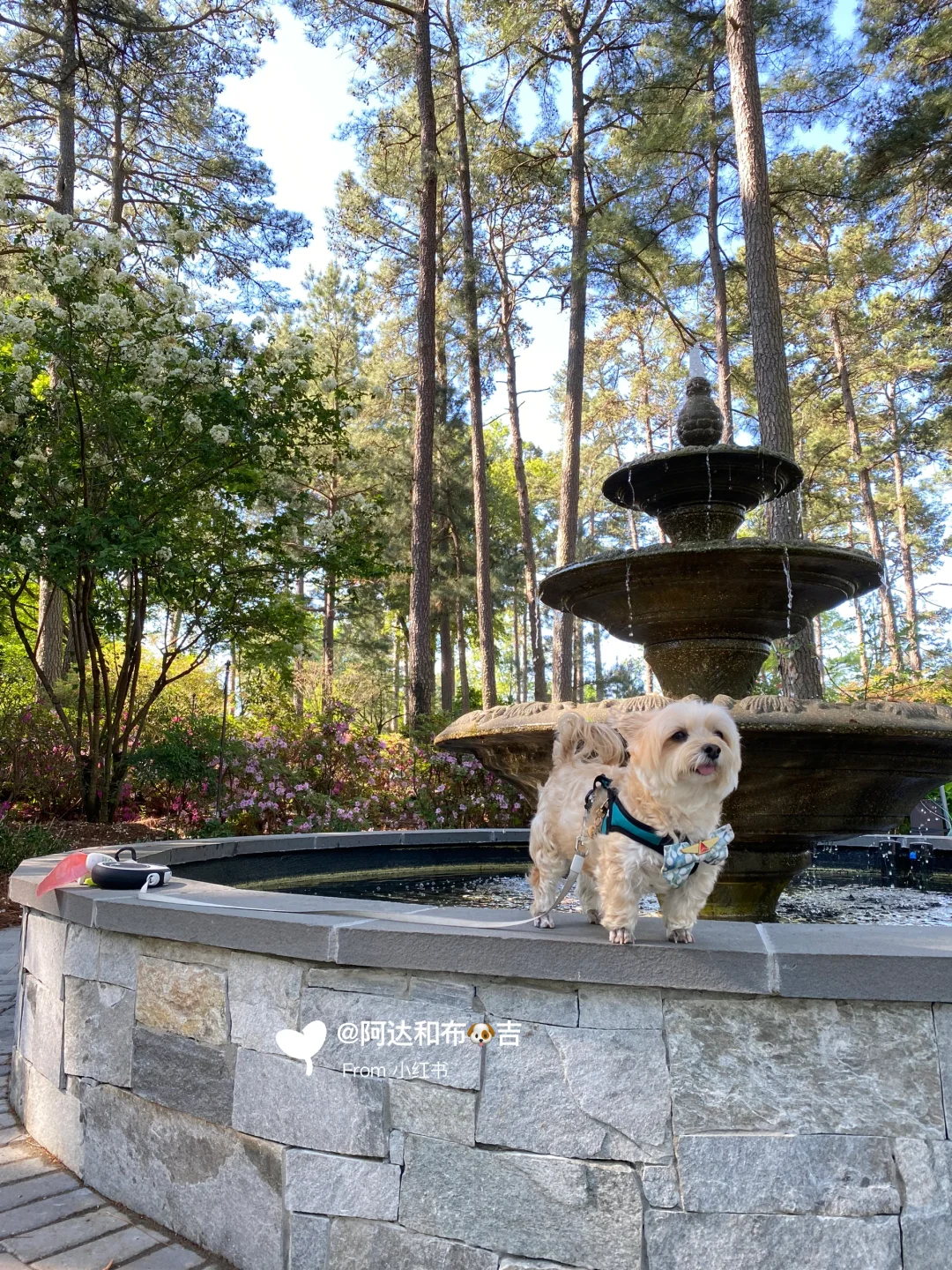 "Raleigh, North Carolina: A City That Captures Your Heart at First Sight 1️⃣"