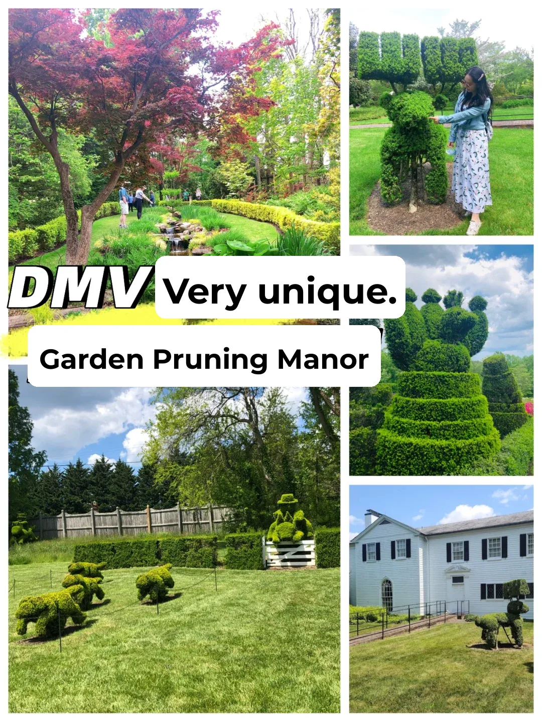 Exploring the DMV: A Stunning and Unique Topiary Estate | Garden Tour 🌲