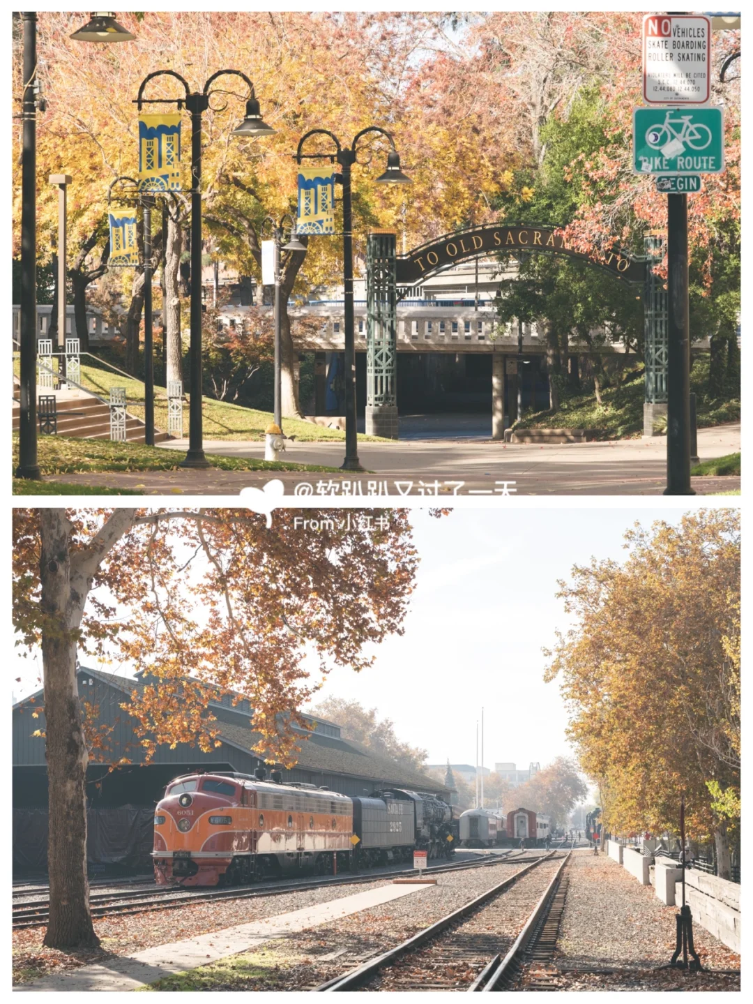 Even with a Short Playtime, Three Buns Can Be a Lot of Fun