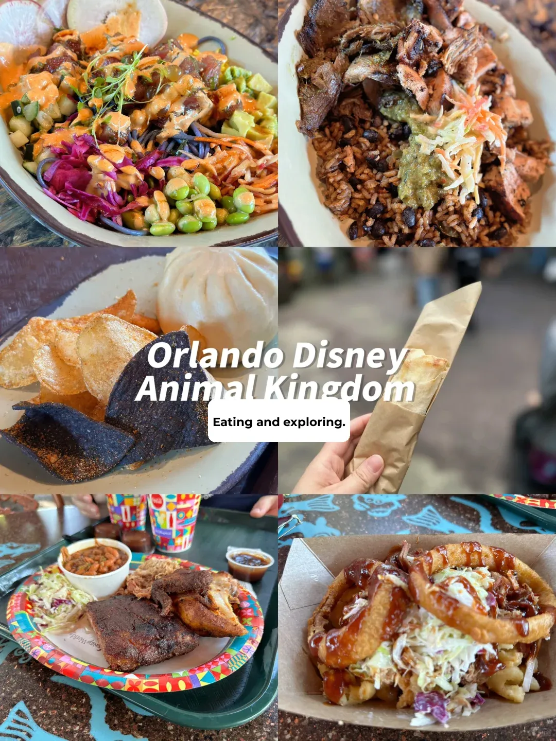 "About How I Kept Eating at Disney and Gained a Few Pounds"