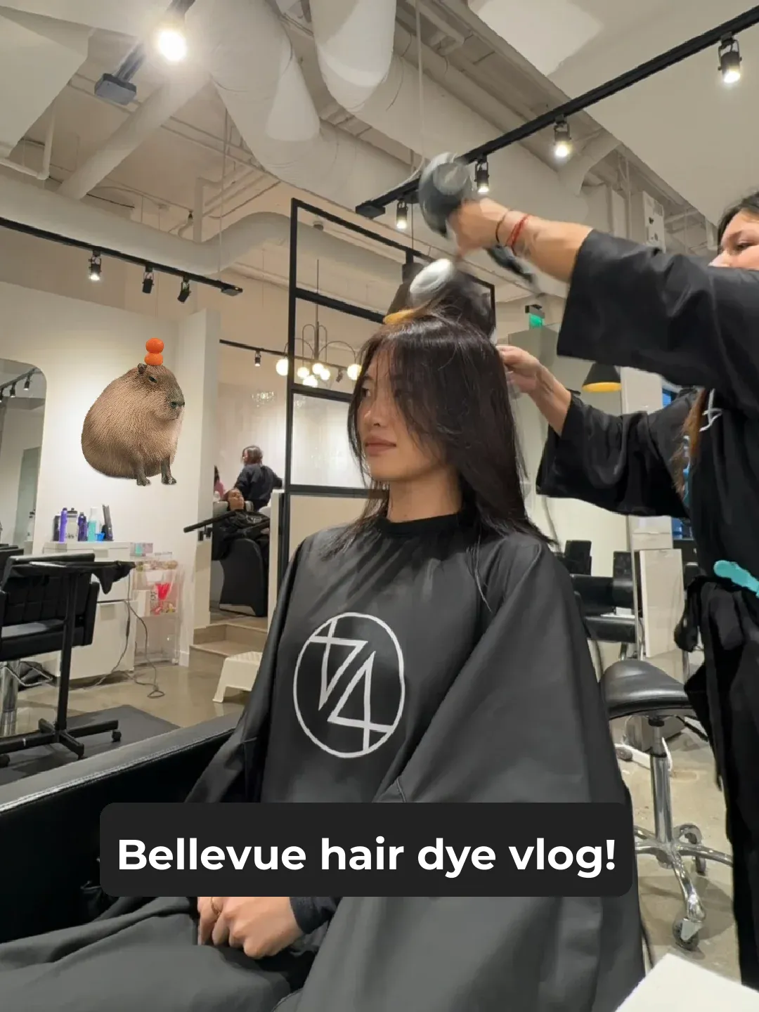 Seattle Vlog | My First Hair Dye Experience in Bellevue