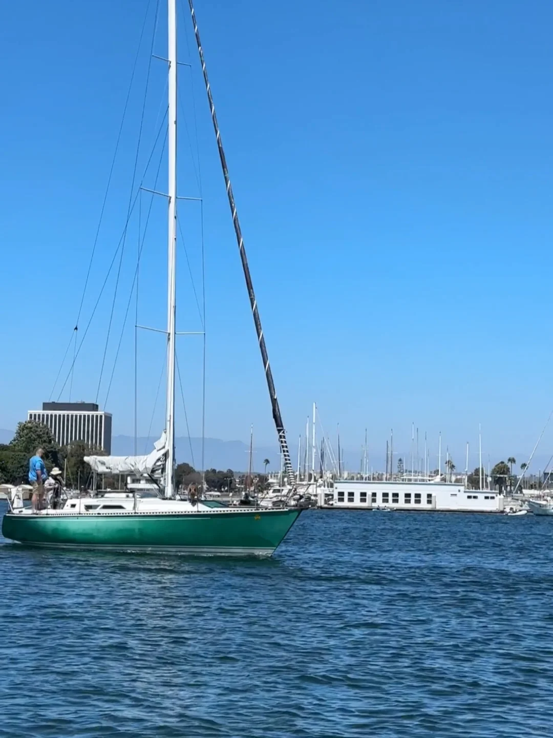 Cruise LA's Summer Seas on the $1 Ocean Bus 🚌