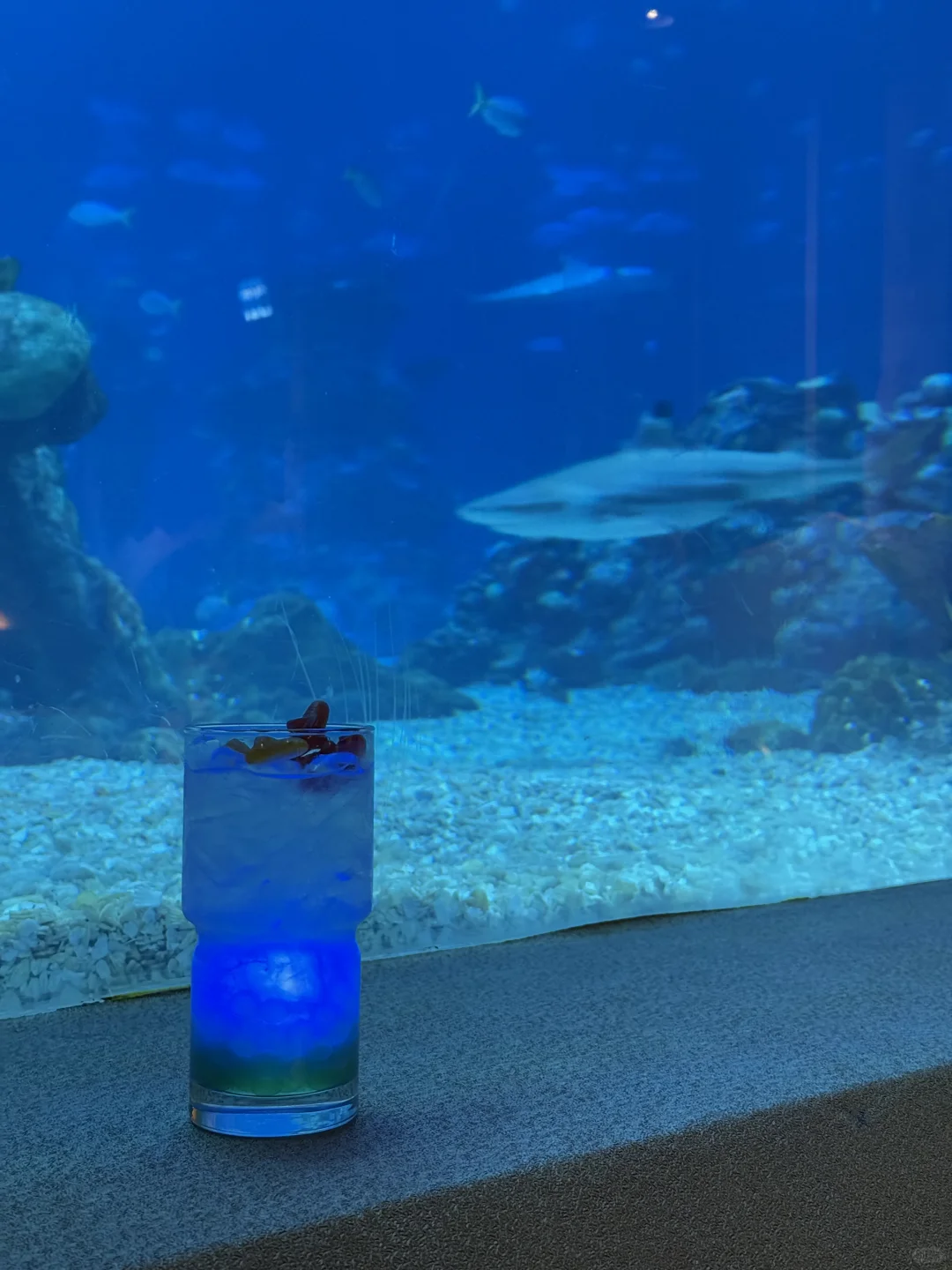 Top Restaurants Worth Booking at Orlando Disney (Including 3 Parks)