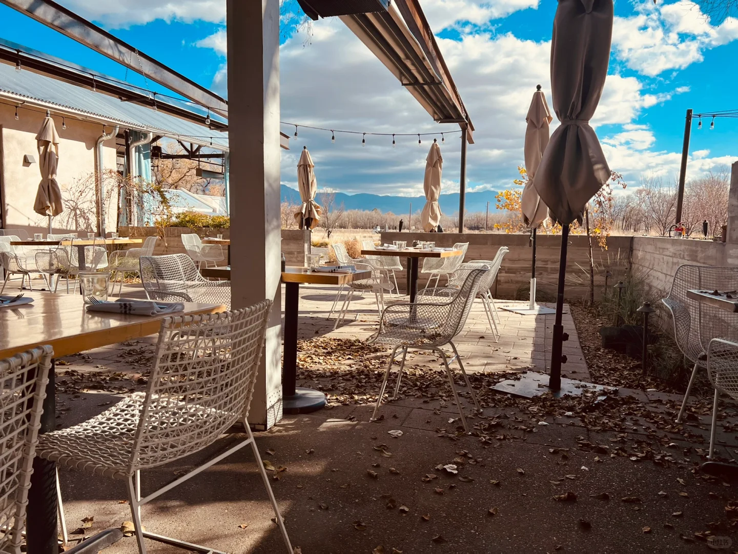 Hidden Gem Farm Brunch in Albuquerque