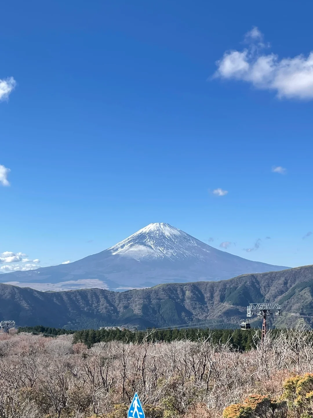 ⛩️ Finally, Someone Clarified Hakone Day Trip! 🗓️ With Timetable
