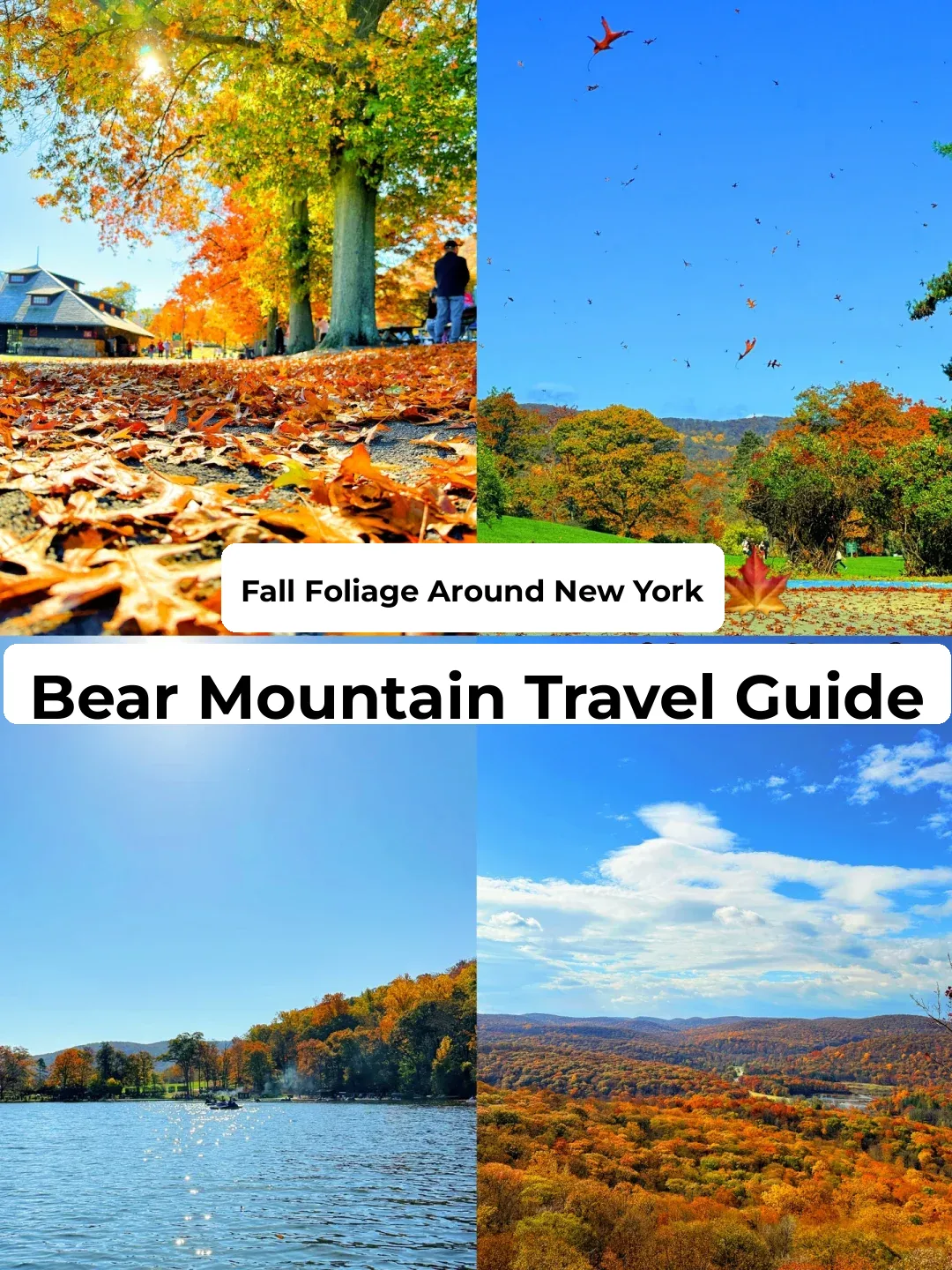 New York's Fall Foliage Season 🍁 Stunning Bear Mountain!