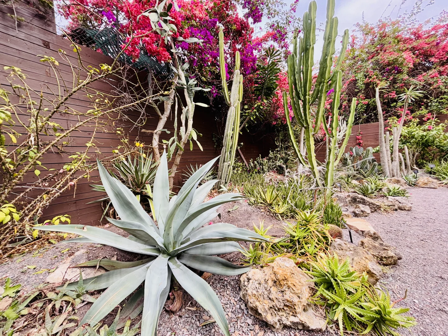 One-Day Itinerary for Tampa, Florida