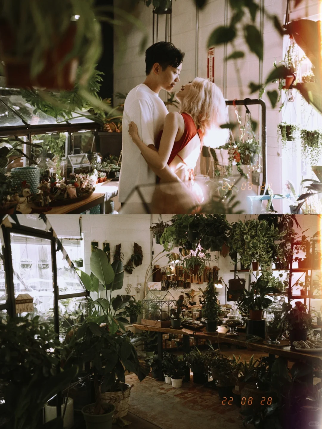 🌵Denver Hidden Gem: Greenhouse Café｜Vibe-filled Photo Spot