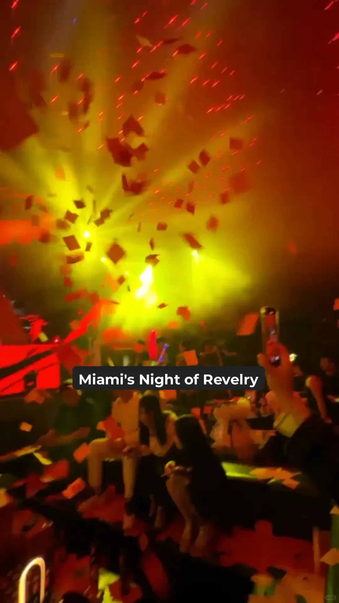 Miami Vibes | Party Extravaganza