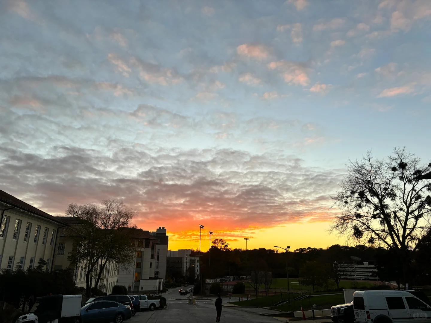 Atlanta | Delicious and Stunning Fine Dining Spots (Part 1)