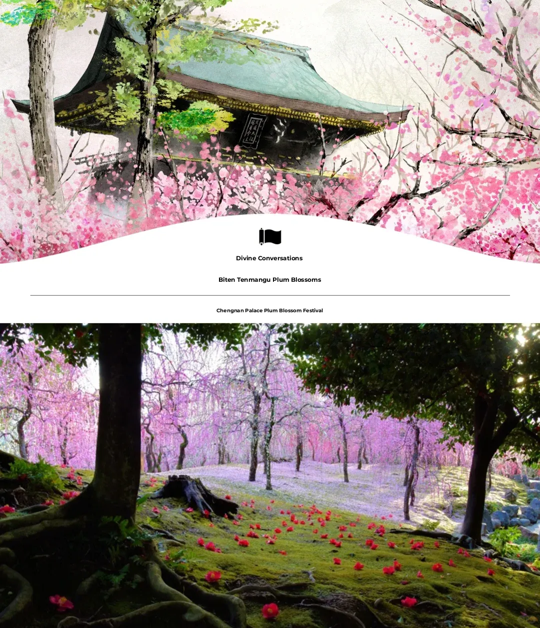 What to See in Kyoto in February for Chinese New Year? Enjoy the Plum Blossoms!!