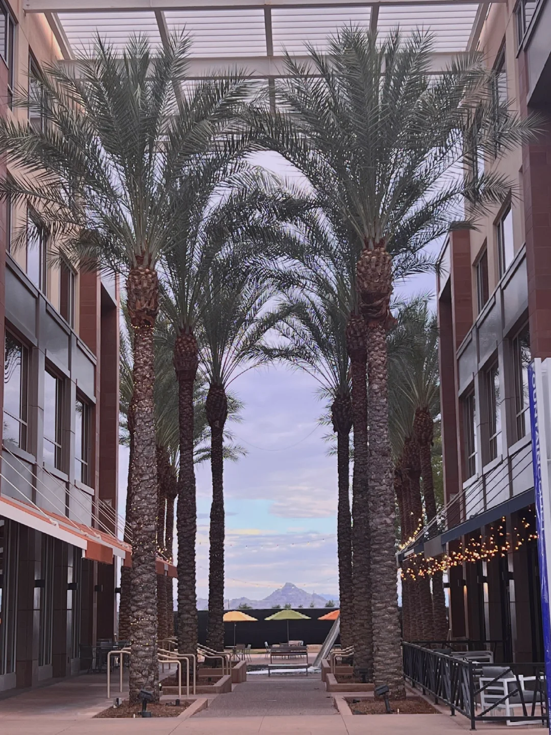 Phoenix's New High Street District: A Perfect Spot to Unwind and Embrace the Slow Life