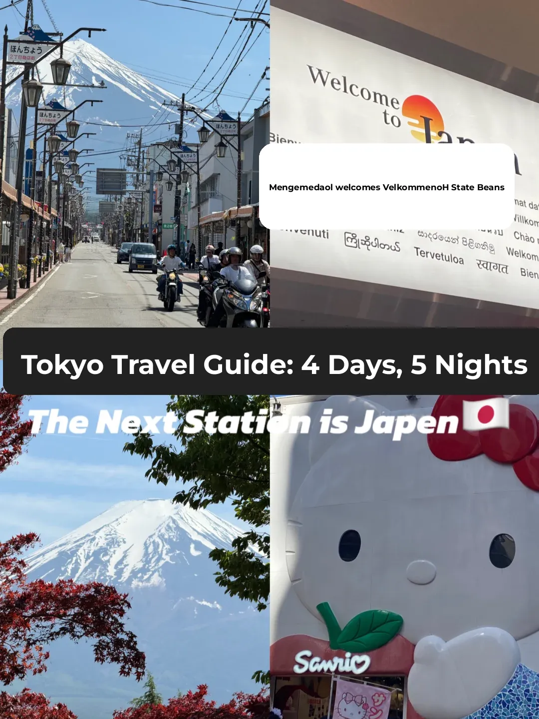 4 Days and 5 Nights in Tokyo: The Ultimate Guide Edition!!!
