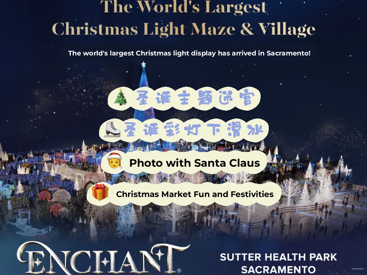 World's Largest Christmas Light Display Comes to Sacramento