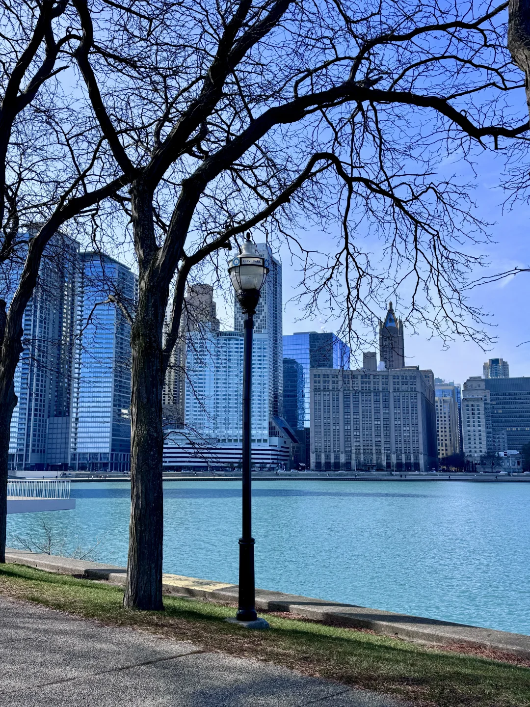 The Most Instagram-Worthy Skyline in Chicago is Right Here