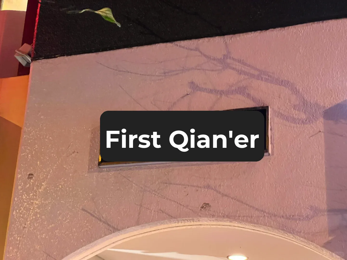 Hidden Gems of Tokyo's Chiyoda Ward: Must-Try Eats Near Hanzomon!