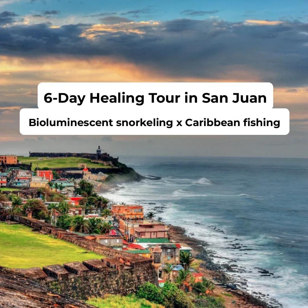 Healing Journey in San Juan | Snorkeling in Bioluminescent Waters and Caribbean Sea Fishing
