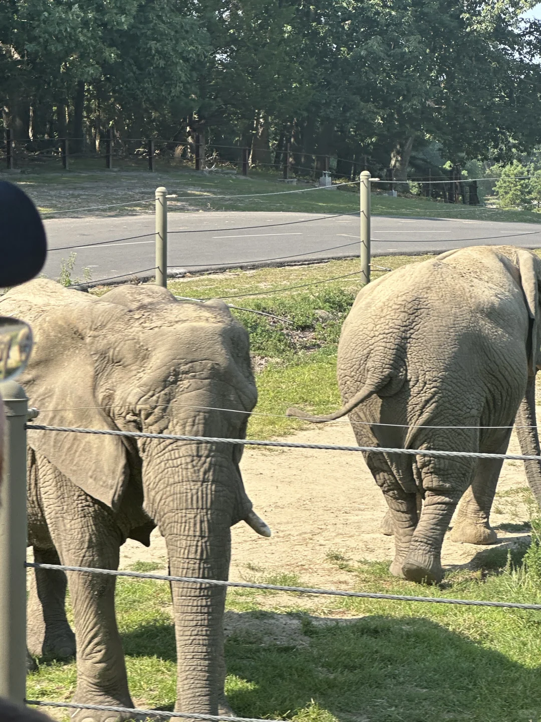 Big Rip-Off! 🤬🤬 Six Flags Zoo 🐒 - Never Coming Back!