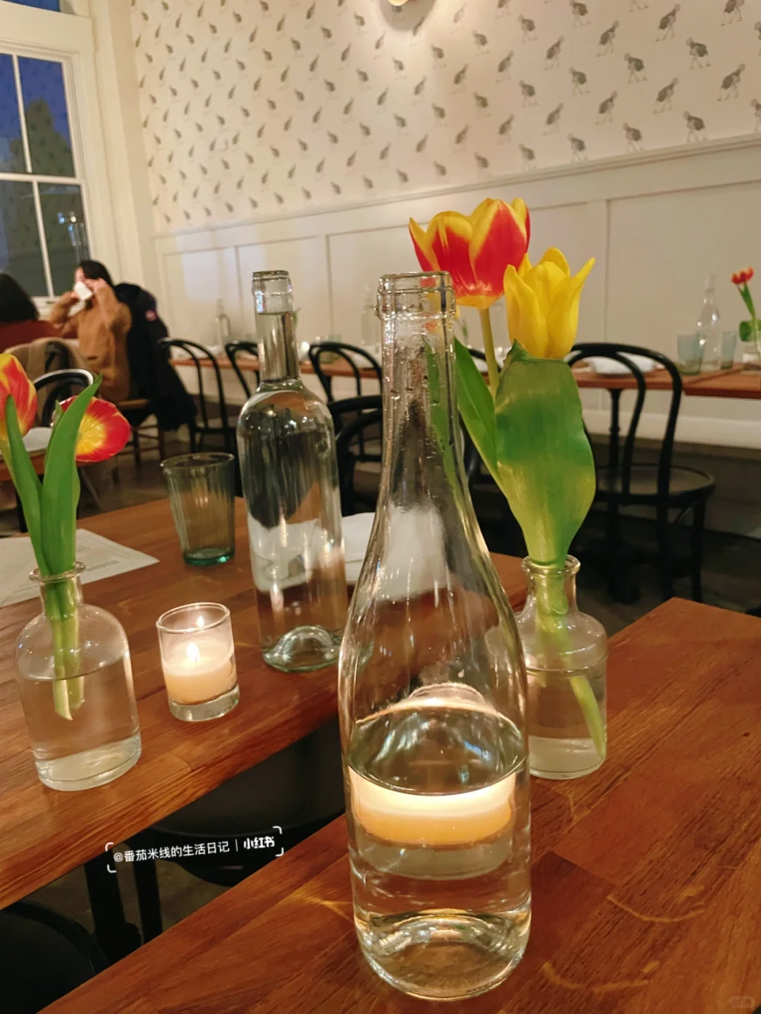 Seattle Life Vlog Day 353 & 354