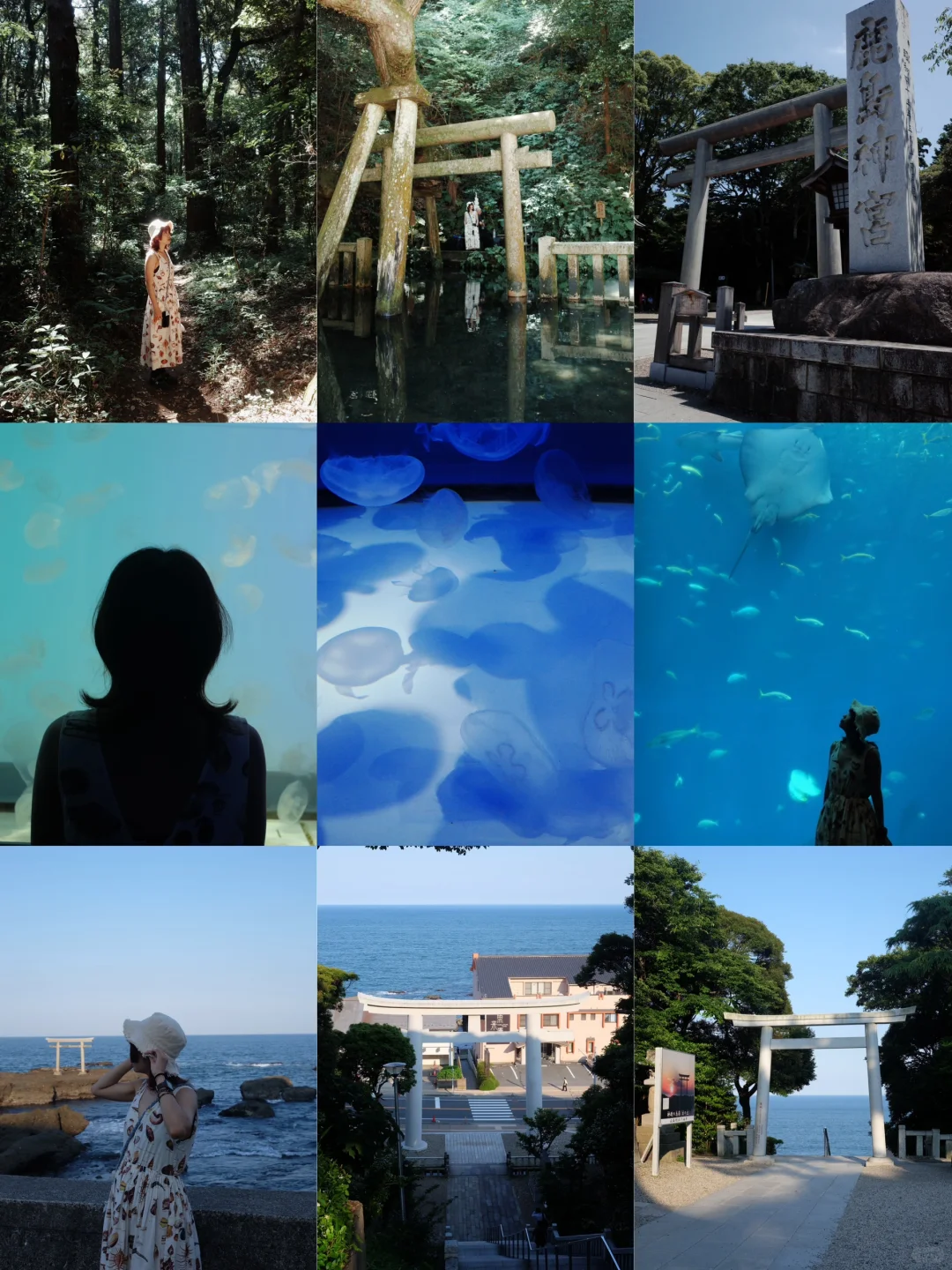 Day Trip to Tokyo's Hidden Gems: Visit Kashima Jingu & Oarai, Ibaraki in One Day