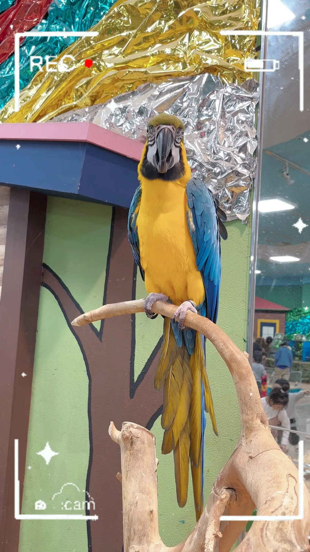 "Who Knew Such a Place Existed Near Tokyo? Perfect for Taking the Kids Out!"