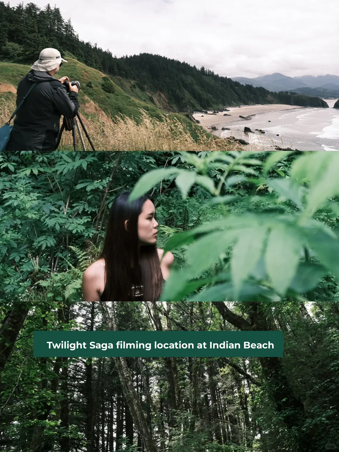 What on Earth is Oregon? It’s Absolutely Magical! 🇺🇸‼️