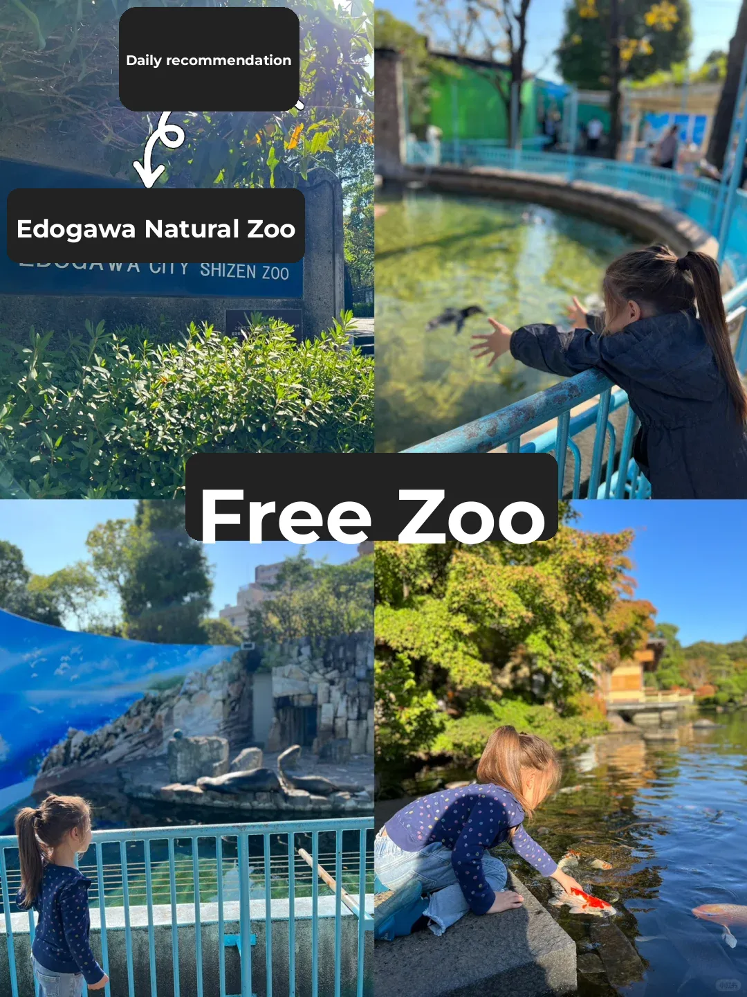 Edo River Ward's Free Natural Zoo is the GOAT!