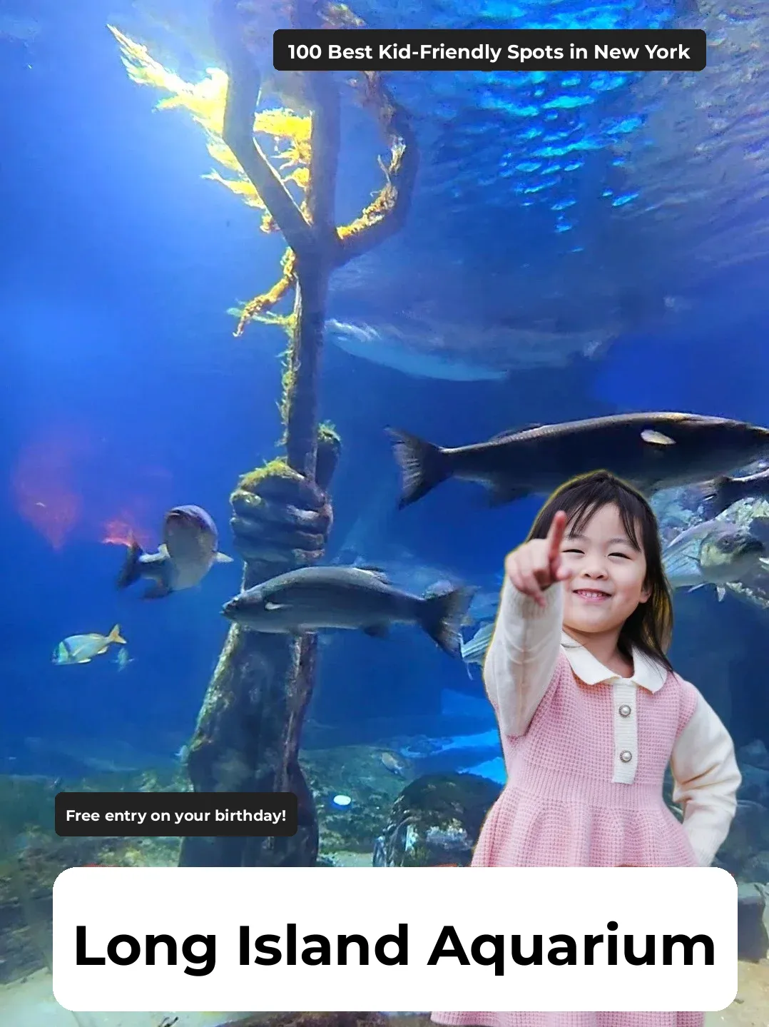 Free Entry to NYC's Long Island Aquarium on Your Birthday 🦈 Swim with Sharks