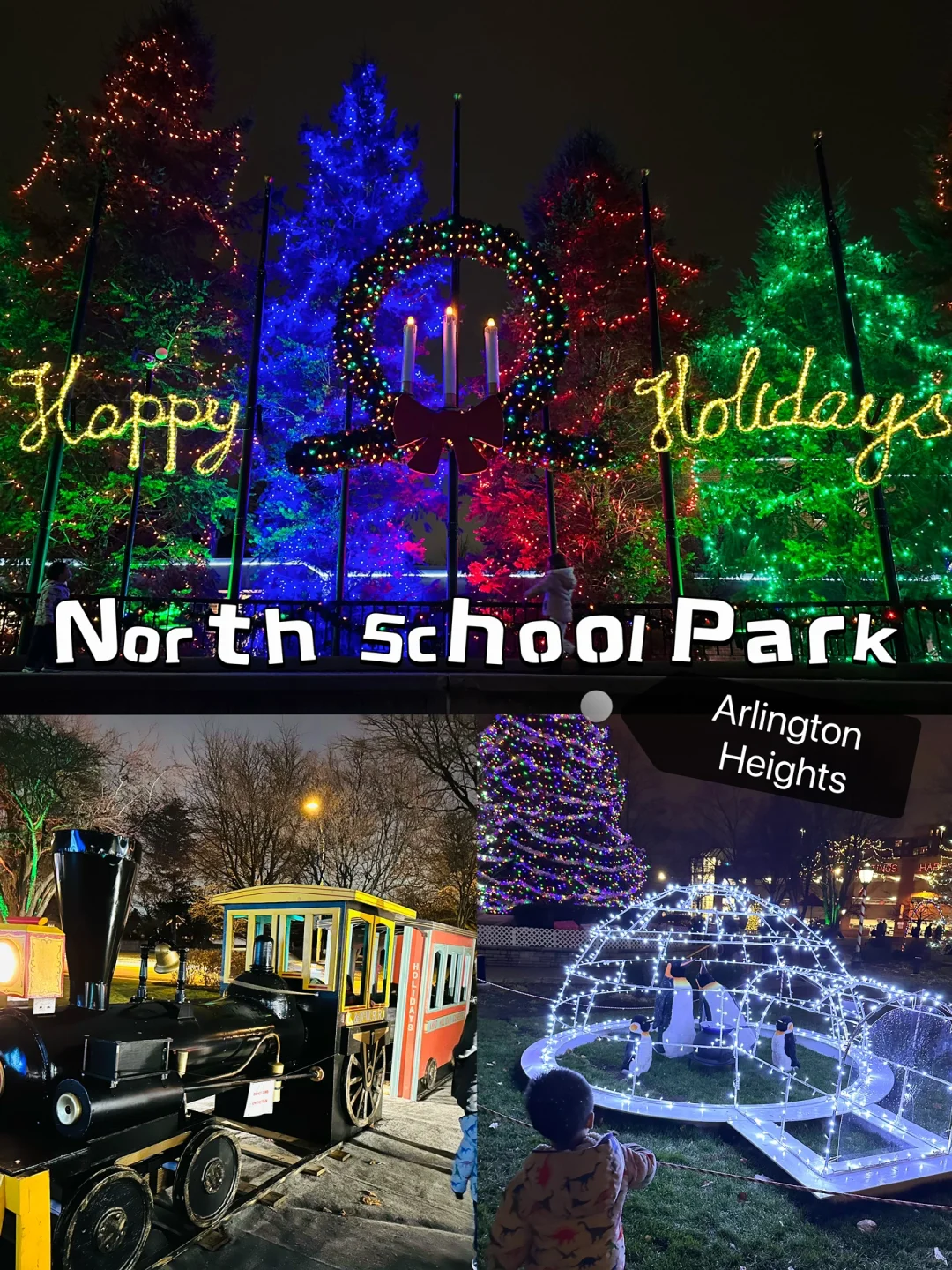 Chicago with Kids: The Winter Light Show is Back at This Park 🎄