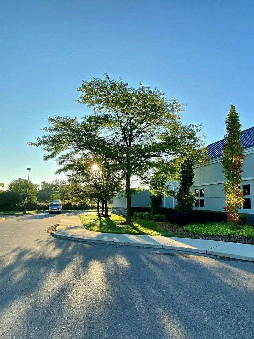 Who says you can't pick the right hotel in Detroit? Here are my top recommendations!❗