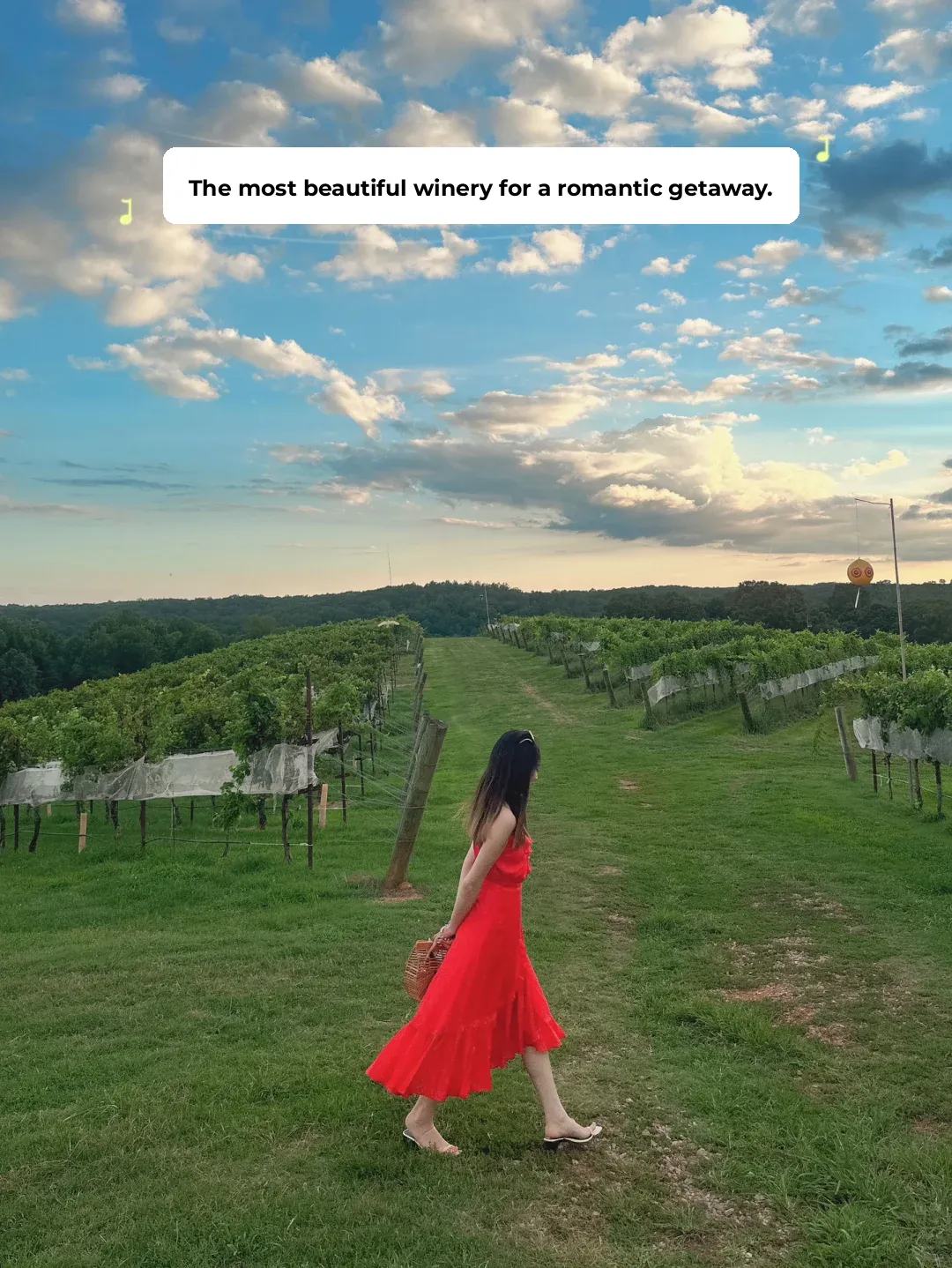 The Most Beautiful Winery Near Atlanta: Montaluce Winery